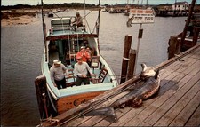 Orleans MA Basking Shark Rock Harbor Cape Cod Photos c1950s-60s Vintage Postcard picture