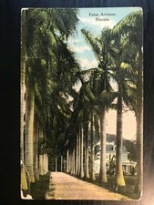 Vintage Postcard 1912 Palm Avenue Florida (FL) picture