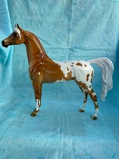 Peter Stone Arabian, Glossy, SR mare picture