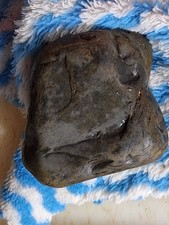 Prehistoric Paleo American Artifact?~Green~2 1/2