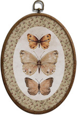 Vintage Butterfly Oval Wall Art, Neutral Antique Butterfly Sketch Oval Framed Wa picture