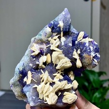 273G Natural Purple