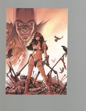 2009 Dynamic Forces 35 Years of Red Sonja Back to Basics Pick FromListUpTo35%OFF picture