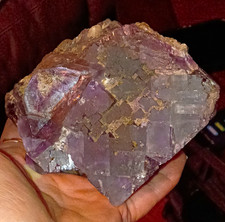 Rare GA yard find Bi-Color Cubic Fluorite Crystal Cluster w/ Pyrite Asst. 4-5lb picture