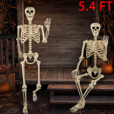 5ft Giant Halloween Human Skeleton Poseable Full Life Size Decoration Party Prop picture
