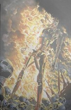 TERMINATOR #1 - ALEX ROSS RATIO 1:25 FOIL VIRGIN VARIANT BURNING EARTH ICON picture