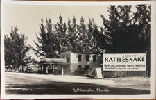 Vintage c1940 Rattlesnake Florida (Tampa) Real Photo Postcard FLA Roadside picture
