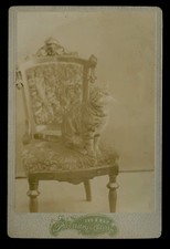 Antique 1890s Cabinet Card Photo of a Striped Tabby Cat Broadway New picture