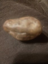 Prehistoric Paleo-American rock art sculpture multi tool. picture