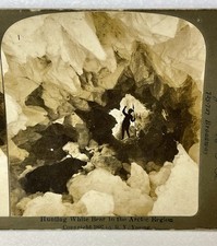 1897 Polar Bear Hunting Expedition Photograph StereoView White Bear Antique picture