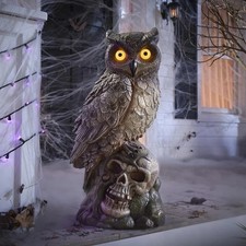 Home Accents HD 2.5 ft Owl and Skull Decoration LED Light Up Eyes Halloween picture