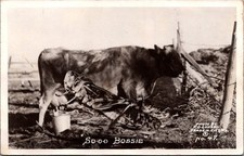 1938 RPPC Sidney, NE Giant Grasshopper So-oo Bossie Cow F.D. Conard Novelty picture