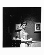 Sophia Loren promotional portrait film A Breath Of Scandal 1960 Old Photo picture