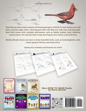 How to Draw Birds: A Step-by-Step Guide for Realistic Drawing Projects picture