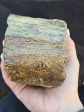 Zimbabwe Wood log Specimen Natural Form (2lb 7oz) picture
