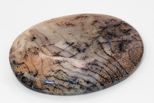 NEW DISCOVERY, RARE FOSSIL BRAIN CORAL FROM THE PHILIPPINES — 40 ct. CABOCHON picture