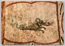 Catacomb of Priscilla, Rome Italy Art Postcard Jonah Fresco picture