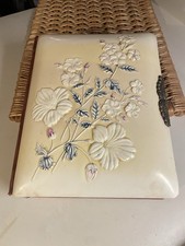 Antique/Victorian Raised Floral Celluloid 16page Photo Album 10.5 X 8.5 x 3 picture