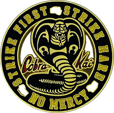 DL7-15 Karate Kid inspired Cobra Kai No Mercy 1984 All Valley Championship Strik picture