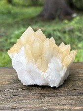 Natural White Yellow Quartz Cluster- Beautiful 3.8” Candle Quartz Crystal Points picture