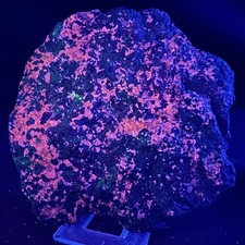 Superb Large Fluorescent Sphalerite: Franklin mine, Franklin, New Jersey- Rare picture