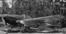 WW2 WWII Photo Soviet IL-2 Sturmovik Ground Attack Fighter World War Two / 5431 picture