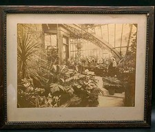 1890s Victorian Estate Conservatory Photo Botanical Carved Wood Frame Antique picture