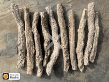 Fulgarites; Mojave Desert picture