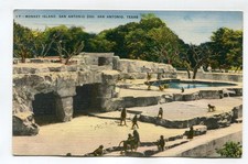 MONKEY ISLAND SAN ANTONIO ZOO SAN ANTONIO TEXAS picture