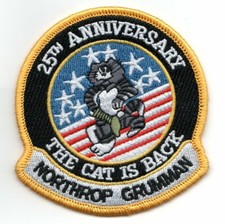 northrop grumann F-14 Tomcat 25th Anniversary USA Flag Cat is Back Patch picture