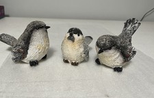 Black-Capped Chickadees (set Of 3) with winter ice on Their feathers picture
