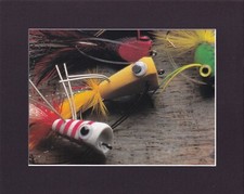 8X10