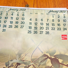 Coca-Cola 1973 Calendar USE  FOR 2029  everyday matches see pictures  picture