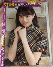 Nanase Nishino A4 clear file B Ver. Nikkei Entertainment 7-Eleven bonus picture