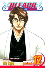 Bleach, Vol. 12 picture