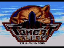 Tomcat Alley - Sega CD Game Only picture