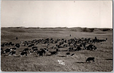 Rare Vintage 1946 RPPC Postcard Baker Broken Bow Ranch Nebraska Cowboys Cow Past picture