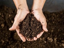 10lbs Of Kansas Dirt picture