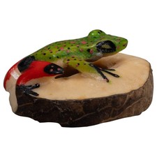 Red And Green Poison Dart Frog Tagua Carving picture