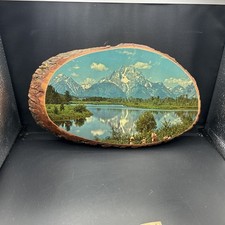 Glenwood Springs, Colorado.  Decoupage On Live Wood Edge Plaque 1960S. picture