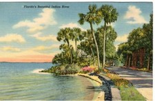 Vintage Postcard FLORIDA'S BEAUTIFUL INDIAN RIVER 1940's Linen Postcard NOS picture