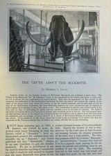 1900 Mammoth in the Smithsonian Institution Washington DC illustrated picture