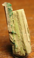 Grossular Garnets on Diopside from Quebec, Canada  picture
