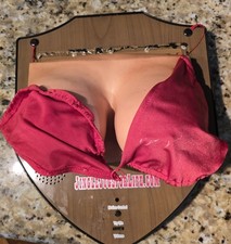 Jingle Jugs “The Trophy Rack” Sings & Moves Plaque Breast Cancer Aware Damaged picture
