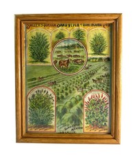 Antique J.W. Salzer Seed Advertising Sand Vetch Clover Farm Print Framed 9x11 picture