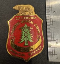 Rare, Antique, California, Forestry Medical Corps, MEDICAL OFFICER, Badge picture