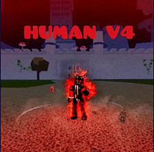 Blox Fruits✅️Lv2800⭐Human Full Gear V4⭐Godhuman⭐CDK⭐Random Luck (SGT) picture