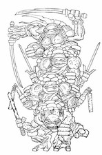 TEENAGE NINJA TURTLES #20 - FRANK MILLER 1:300  BLACK & WHITE VIRGIN VARIANT picture