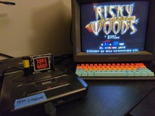 Risky Woods - Genesis - Cartridge Only - Tested Works picture