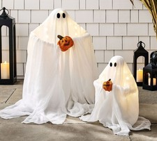 Lit Pumpkin Ghosts - Set of 2 picture